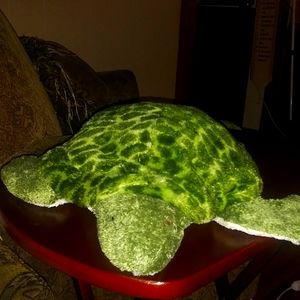 Beautifully big green sea turtle 🐢